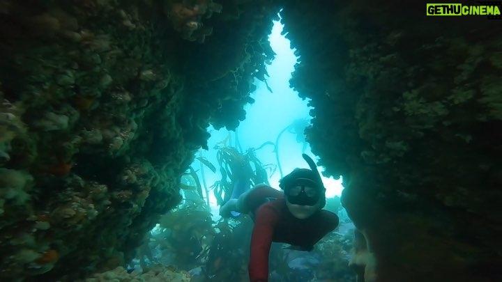 Tanya van Graan Instagram - If these walls could talk... 🌊💙 #LifeHiddenBelow #Aframe #saveouroceans Simon's Town