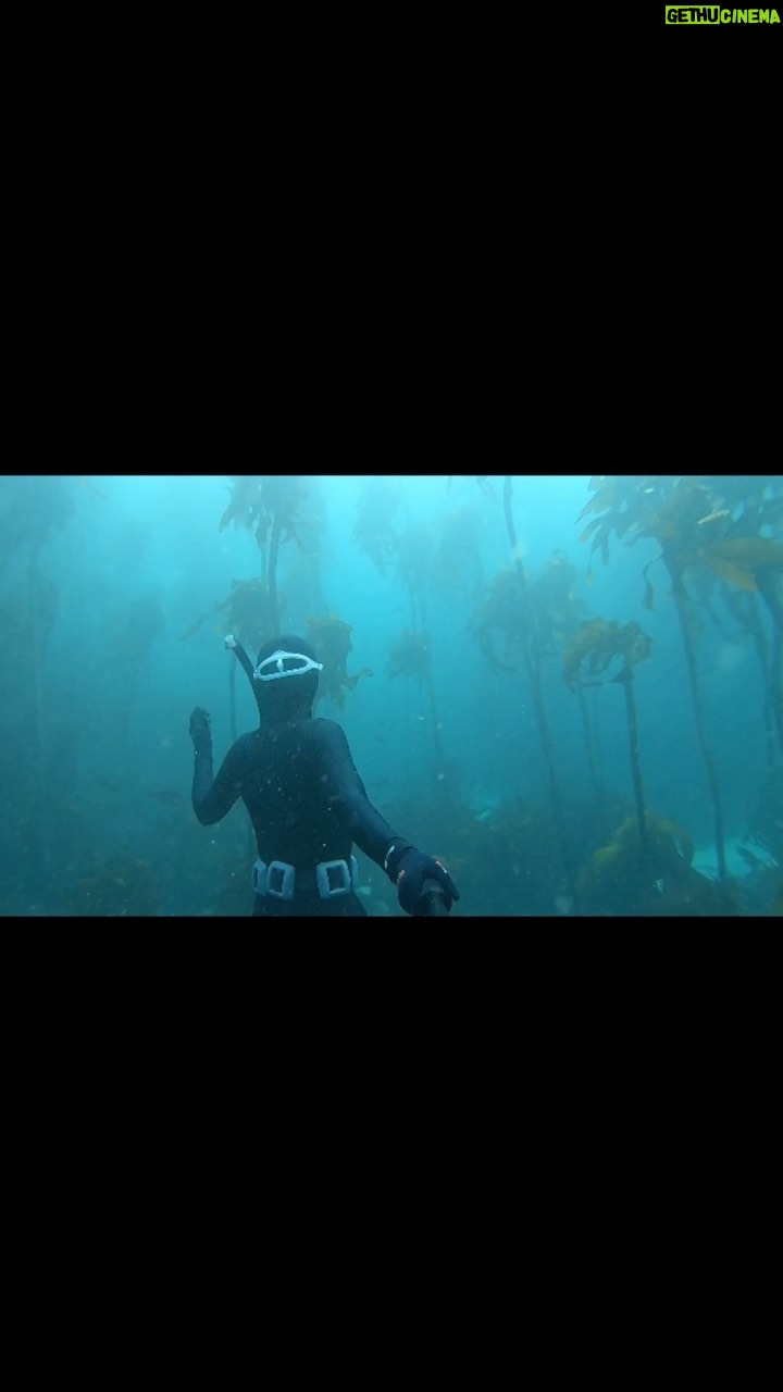 Tanya van Graan Instagram - Lucid dreams.💙🌊