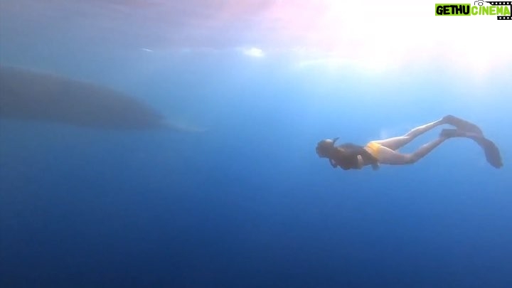 Tanya van Graan Instagram - In the presence of giants... πππΌ . . . #Bluewhales #Srilanka #trincomalee #freediving #NingalooFins #ChasingTheBlues #Fast Thank you @sri_lanka_diving_tours_ @sashaafernando and amazing crew for this magical experience!ππΌππΌππ¦