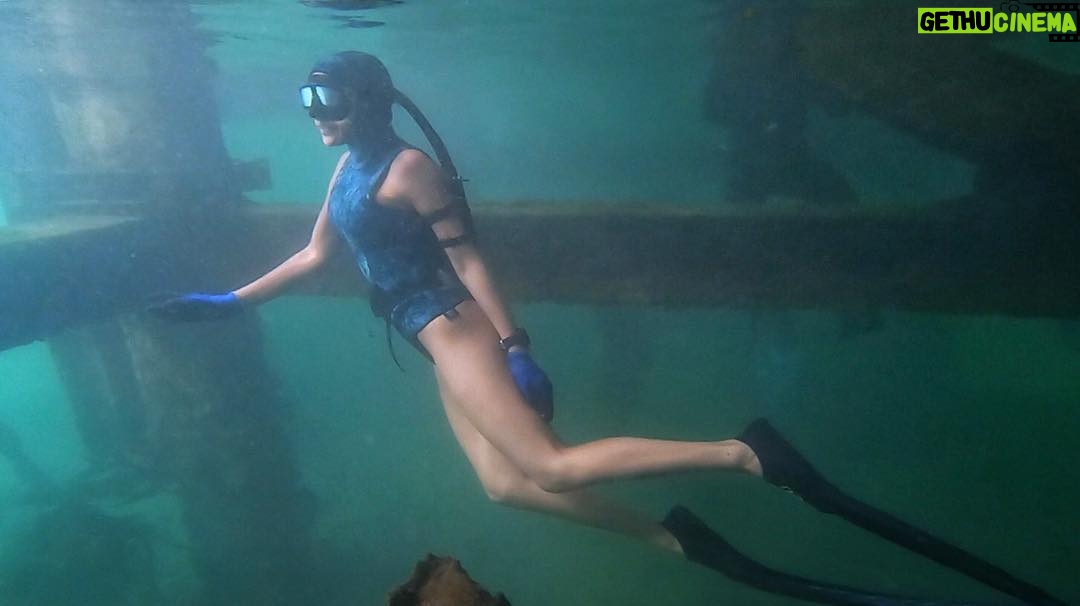 Tanya van Graan - 1.3K Likes - Was looking for the Heart of the Ocean💙🤔(#TitanicReference) ....but found macro plastic instead!😝
.
.
.
#BridgeOverTroubledWater
#HarbourCleanUp #DiveAgainstDebris ✅ #SeaTheBiggerPicture