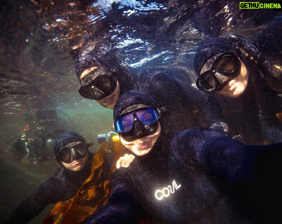 Tanya van Graan Instagram - Started off as a team, ended up as a tight knit seal colony!ππππΌπππ¦ You guys rock! #TeamApex #theapexexpedition π¬ #OceanWarriors #freedive #ConservationIsKey #SaveTheOcean π¦