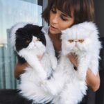 Tanya van Graan Instagram - Group hugs are not for everyone. 😜#HappyCaterday #HugItOutFromADistance