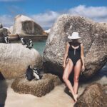 Tanya van Graan Instagram - Make friends blend in with the locals.🐧😎✌🏼 #RespectThePenguin #LocalIsLekker #capetown