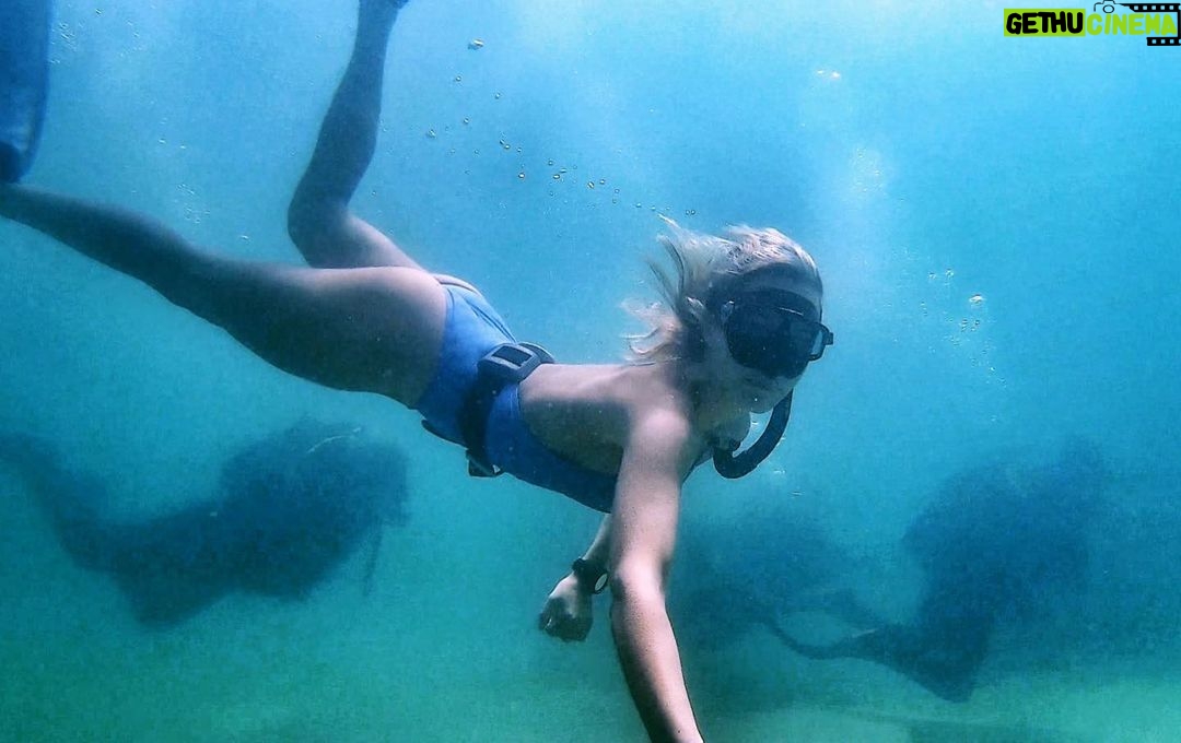 Tanya van Graan - 1.1K Likes - The moment you doubt whether you can fly, you cease forever to be able to do it.
~ Peter Pan.✨
#wisewords 🙏🏼🌊💙🐋🧜🏼♀️