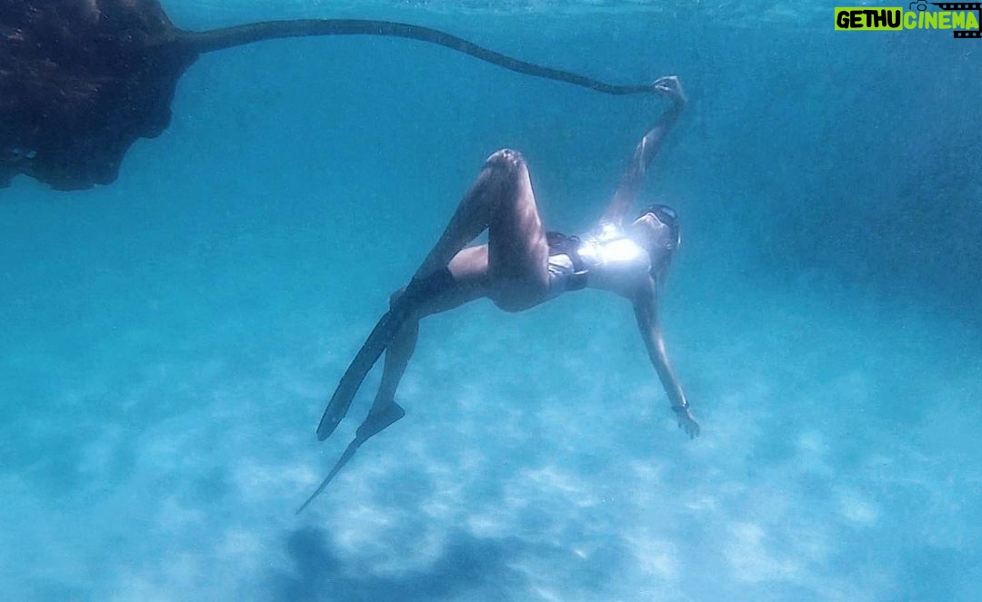 Tanya van Graan Instagram - Go offline daily, you might just find a better connection...๐๐๐ผ๐๐ผ #oceanlovers๐ #freediving Simon's Town