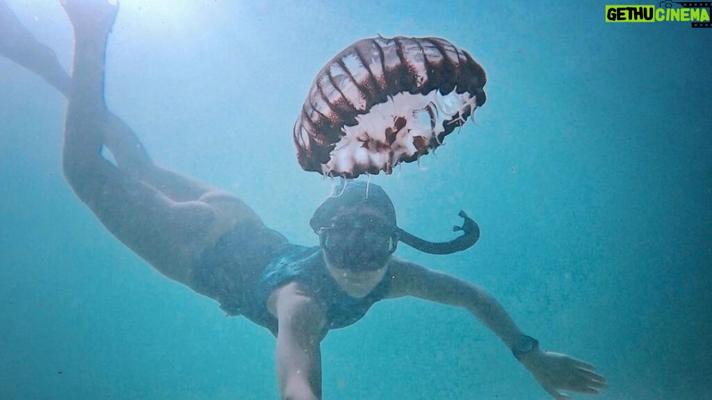 Tanya van Graan Instagram - “Life is a beautiful, magnificent thing, even to a jellyfish.” #CharlieChaplin #OceanLove💙 #HappySoul 🙏🏼