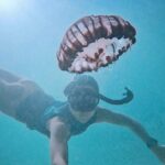Tanya van Graan Instagram – “Life is a beautiful, magnificent thing, even to a jellyfish.”

#CharlieChaplin #OceanLove💙 #HappySoul 🙏🏼