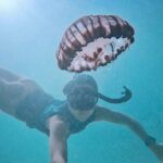 Tanya van Graan Instagram - “Life is a beautiful, magnificent thing, even to a jellyfish.” #CharlieChaplin #OceanLove💙 #HappySoul 🙏🏼