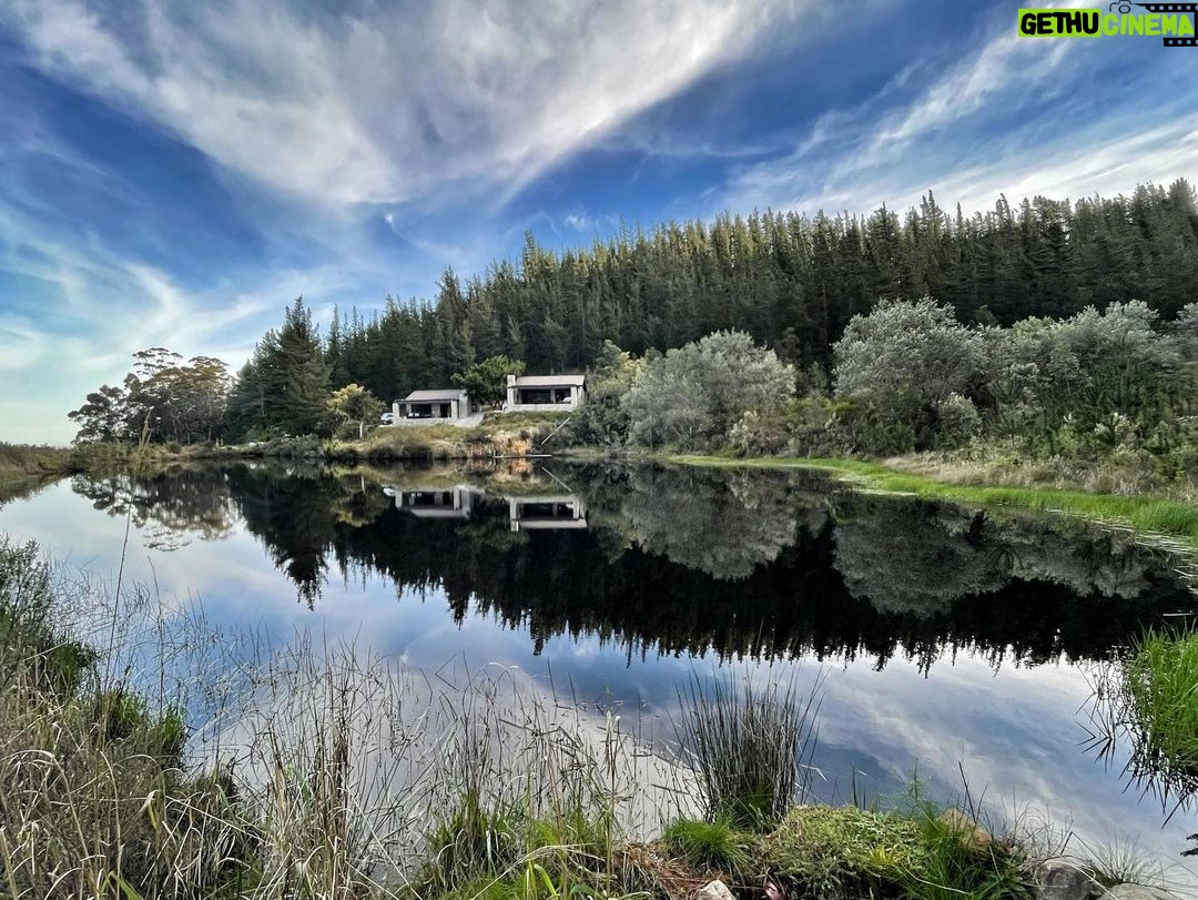 Tanya van Graan - 1.4K Likes - Nature does not hurry, yet everything is accomplished. 🌱🌲💚🙏🏼 – Lao Tzu #Swellendam #NatureIsPerfect @fazenda_perfect_escape