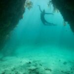 Tanya van Graan Instagram - Shifting timelines…💙💫🙏🏼 A-Frame Dive Site
