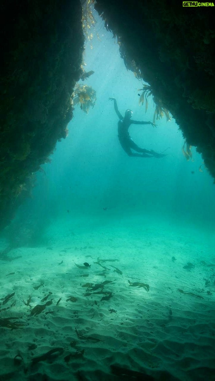 Tanya van Graan Instagram - Shifting timelines…💙💫🙏🏼 A-Frame Dive Site