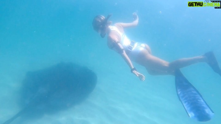 Tanya van Graan Instagram - Stingrays and sunny days...🌞🌊 #Bliss #Summertime #DancingRays #OceanLove #Freedive #SaveOurSeas🙏🏼 Miller's Point, Western Cape