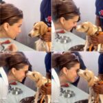 Tara Sutaria Instagram - Two pups 🥹 Love at first lick!