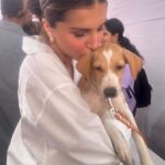 Tara Sutaria Instagram - It’s the most wonderful time of the year ♥️ Because the @worldforallanimaladoptions is hosting two days of adoption camps for the sweetest pups and kittens in the city and supporting wonderful centres like @raksha.love that do such great work.. Adopting or fostering those in need is the most precious gift you can give yourself and our friends in the animal world this Christmas!!! I spent my morning with them and am hopeful to foster or adopt too. The amount of love and licks in this adoptathon is incomparable!!!
