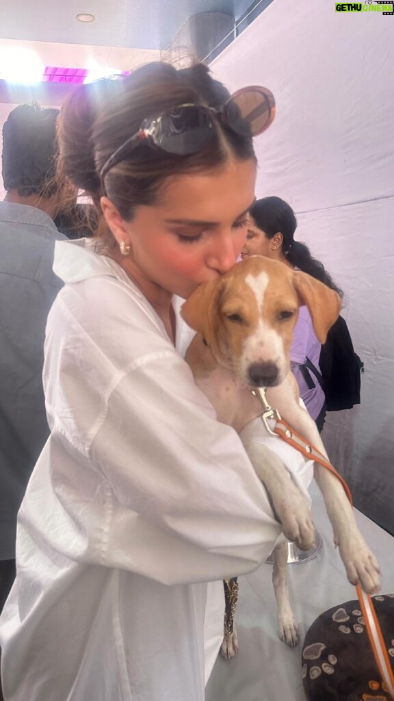 Tara Sutaria Instagram - It’s the most wonderful time of the year ♥️ Because the @worldforallanimaladoptions is hosting two days of adoption camps for the sweetest pups and kittens in the city and supporting wonderful centres like @raksha.love that do such great work.. Adopting or fostering those in need is the most precious gift you can give yourself and our friends in the animal world this Christmas!!! I spent my morning with them and am hopeful to foster or adopt too. The amount of love and licks in this adoptathon is incomparable!!!