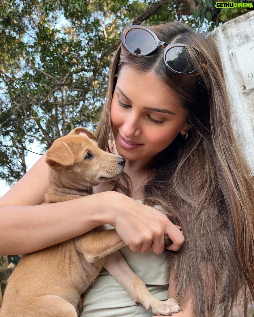 Tara Sutaria Instagram - Simple joys - sun, puppies and food! 🌺