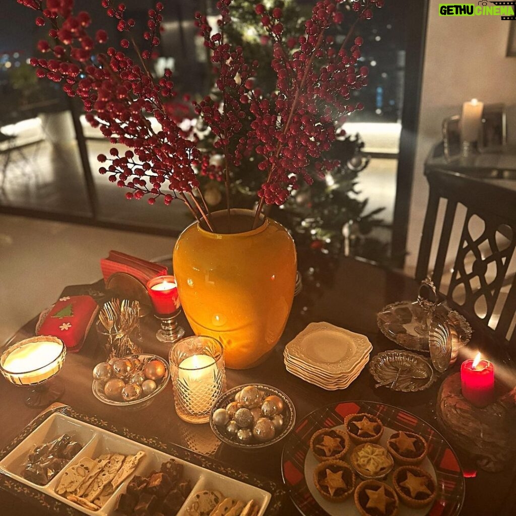 Tara Sutaria Instagram - Have yourself a merry little Christmas.. Let your heart be light.. From now on, your troubles will be out of sight ♥️🎄✨ Here’s how I hosted our first Christmas soirée at home this year. I designed a tablescape that felt warm and elegant, we have two trees, (one is hardly enough!) and our menu was turkey with horseradish, cranberry and gravy, pies and a maple fig salad, crispy roast potatoes, honey glazed ham, a gorgeous gratin, salmon wreaths and olive and ementhal sticks, rum soaked mince pies, a chocolate log, pecan pie and all the trimmings one needs for a good old fashioned eve🍷🎄♥️