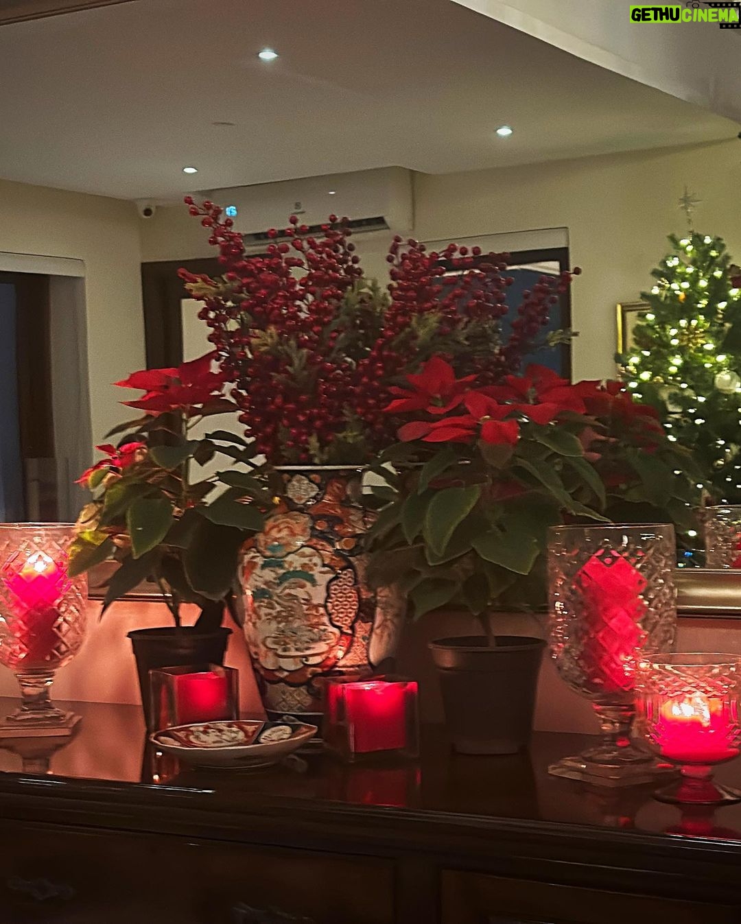 Tara Sutaria Instagram - Eat and be merry for tomorrow is another day to eatππβ¨ Happy Holidays guys