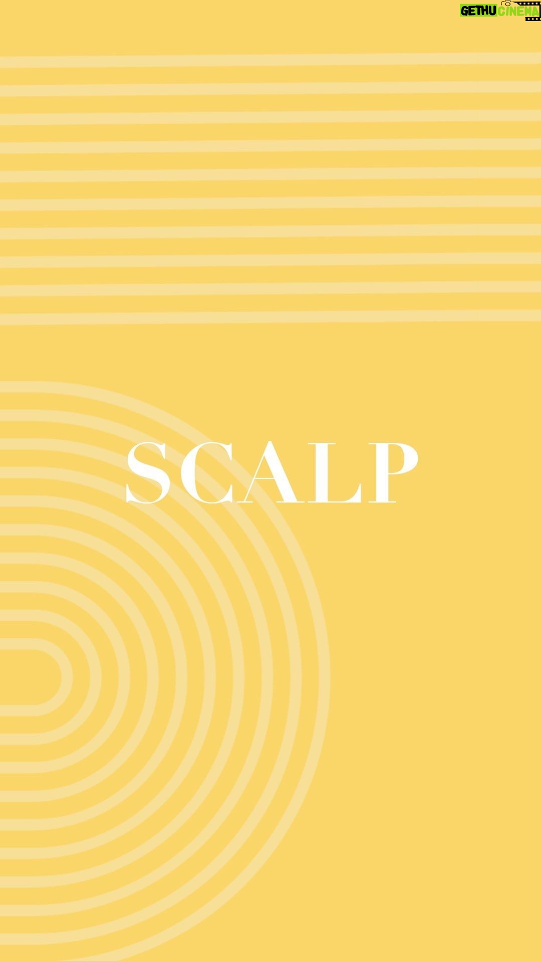 Taraji P. Henson Instagram - Introducing #ScalpCareSunday @tphbytarajiโs creative platform to marry scalp health & mental wellness ๐ I created the Scalp Care Collection because I knew the products were a necessity. #ScalpCareSunday represents us taking the time to reset our intentions & pamper ourselves from the scalp down! ๐๐พโโ๏ธ๐๐พโโ๏ธ๐๐พโโ๏ธ Join me on this journey and share your #scalpcaresunday #wewriteourownstory