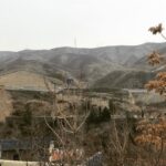 Taraneh Alidoosti Instagram - تولدت مبارک، بابای مهربونم 🌸