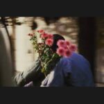 Taraneh Alidoosti Instagram - ”دردا دردا که مرگ نه مردن شمع و نه بازماندن ساعت است، نه استراحت آغوش زنی که در رجعتِ جاودانه بازش یابی، نه لیموی پرآبی که می مَکی تا آنچه به دور افکندی ست تفاله ای بیش نباشد: تجربه ایست غم انگیز غم انگیز به سالها و به سالها و به سالها ...” چهل روز از دنیای بی کیارستمی گذشت. (شعر:ا.شاملو)