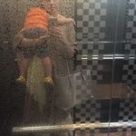 Taraneh Alidoosti Instagram – اینجور وقتها دوست دارم این آسانسور هیچوقت نرسه خونه. 🐣
