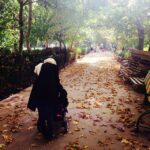 Taraneh Alidoosti Instagram - پاييز. 🍂🍃🍁