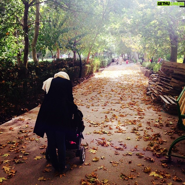 Taraneh Alidoosti Instagram - پاييز. 🍂🍃🍁