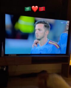 Tareq Al Harbi Instagram - شوفو ردة الفعل وقوة دعائي لمنتخب المغرب اهداء مني للشعب المغربي العظيم احبكم من كل قلبي #المغرب 🇸🇦❤️🇲🇦😂 Riyadh, Saudi Arabia