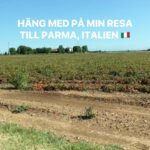 Tareq Taylor Instagram - Reklam för @muttinordics Häng med mig bakom kulisserna hos Mutti i vackra Parma! 😍 När du väljer en burk med tomater från Mutti, väljer du så mycket mer än bara god smak. Som de själva beskriver det ”bra tomater uppstår i lyckade möten mellan jord, vatten, solljus och tid. Jag fick tidigare i år möjlighet att uppleva det faktiska hantverket bakom produkterna nere på plats i Italien. Jag fick se fabrik, fält och hur Mutti arbetar med sina bönder. Jag fick även besöka den otroliga matstaden Parma som bjöd på parmesanprovningar och fantastiska matupplevelser. En resa jag bär med mig länge. Tack Parma och tack @muttinordics för den här gången tills vi ses igen 😄🇮🇹
