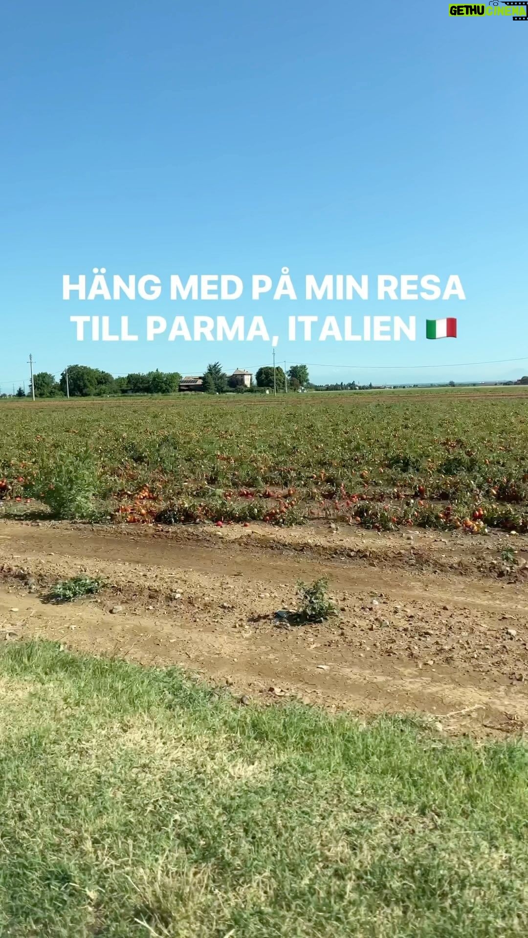 Tareq Taylor Instagram - Reklam för @muttinordics Häng med mig bakom kulisserna hos Mutti i vackra Parma! 😍 När du väljer en burk med tomater från Mutti, väljer du så mycket mer än bara god smak. Som de själva beskriver det ”bra tomater uppstår i lyckade möten mellan jord, vatten, solljus och tid. Jag fick tidigare i år möjlighet att uppleva det faktiska hantverket bakom produkterna nere på plats i Italien. Jag fick se fabrik, fält och hur Mutti arbetar med sina bönder. Jag fick även besöka den otroliga matstaden Parma som bjöd på parmesanprovningar och fantastiska matupplevelser. En resa jag bär med mig länge. Tack Parma och tack @muttinordics för den här gången tills vi ses igen 😄🇮🇹