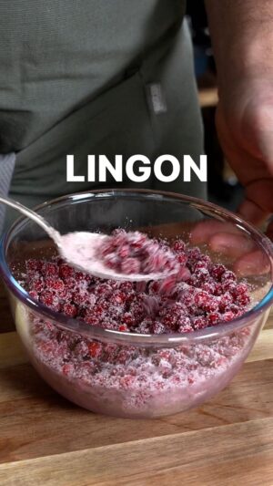 Tareq Taylor Instagram - Lingon - Sveriges kanske mest älskade bär! 😍 Det är så enkelt att göra fräscha rårörda lingon som håller i flera veckor i kylen. Blanda 250g frysta lingon och 1 dl socker och låt tina. Klart!