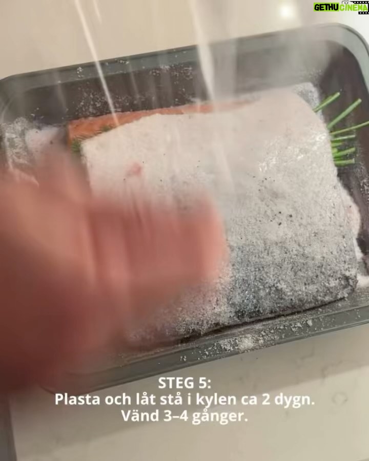 Tareq Taylor Instagram - Innehåller reklam för alkohol, endast för dig över 25 år
Enkelt och gott - Gravad lax med hovmästarsås! Följ stegen ovan för att sedan skämma bort nära och kära med denna underbara klassiker.
Jag väljer att matcha den gravade laxen med min Riesling som passar utmärkt med den feta fisken. ”Tareq Riesling” är ett friskt vitt vin med en smak av päron, honungsmelon, mineral samt vit stenfrukt som tillför fräschör till vinet. Finns på Systembolaget med artikelnummer 56304. Går även att beställa på deras hemsida om den inte finns i din lokala butik.