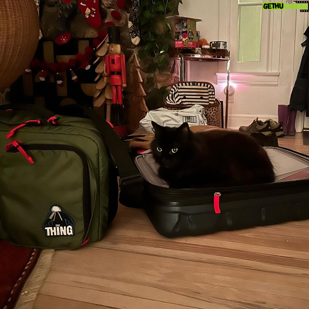Tate Ellington Instagram - Someone is not happy about me leaving. #cats #blackcat #blackcats #blackcatsrule