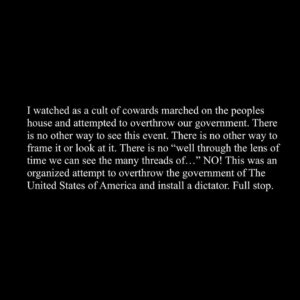 Tate Ellington Instagram - On January 6th there was a coordinated and nearly successful attempt by then President Donald Trump and his followers to overthrow the government of The United States of America. This is a fact. Do not forget this fact.

Vote @joebiden in 2024