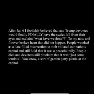 Tate Ellington Instagram - On January 6th there was a coordinated and nearly successful attempt by then President Donald Trump and his followers to overthrow the government of The United States of America. This is a fact. Do not forget this fact.

Vote @joebiden in 2024