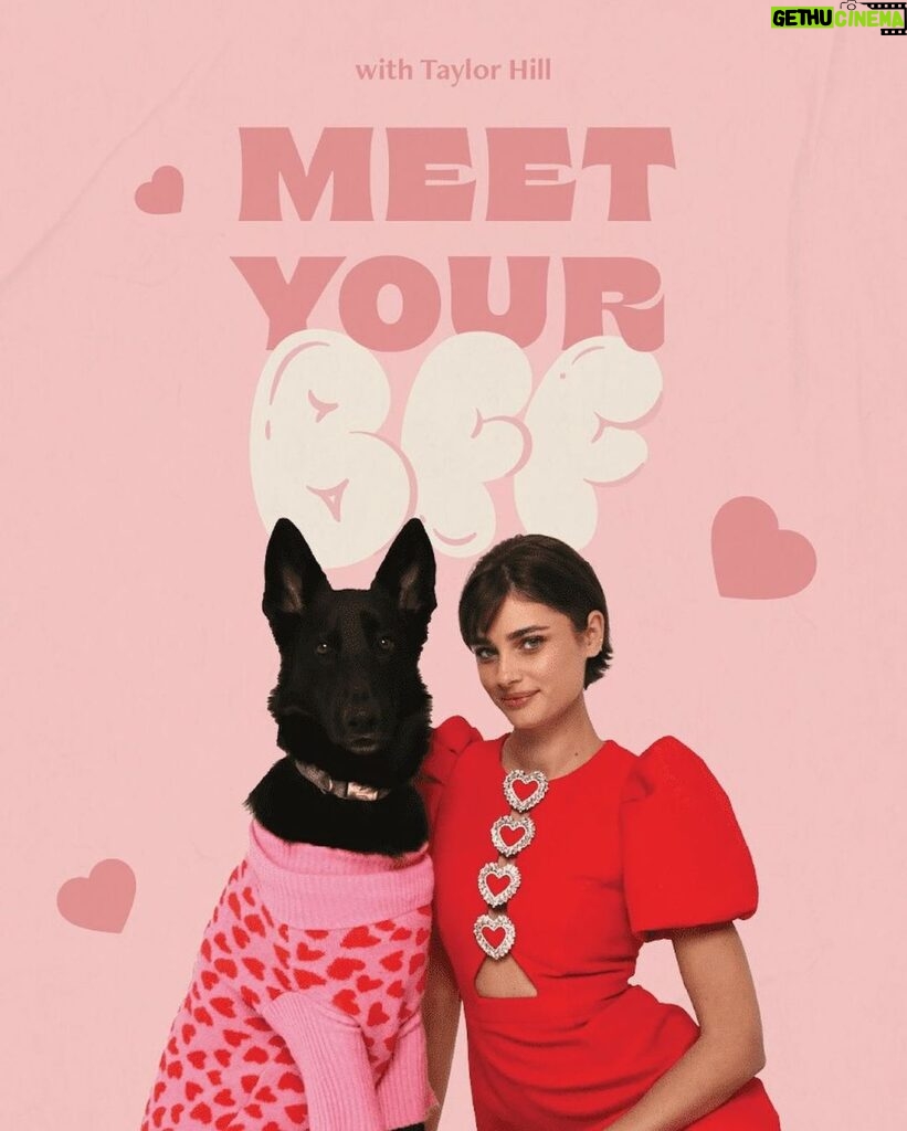Taylor Hill Instagram - Meet your BFF like I did!! @salemtheblackgsd 🐾 I am so excited to host a Valentines Day adoption event next Saturday in New York from 3:00 to 5:00. Bring your pup for treats & lots of fun or come to meet your new soulmate, all thanks to our rescue partner @animalaidusa. Head to the link in my bio to RSVP! Can’t wait to see you there 💕 ** Disclaimer: Please note attending this event does not guarantee the adoption of an animal. Taylor Hill is partnering with Animal Aid USA, a 501c3 which has a team of receiving rescue partners who adopt animals out. Each receiving rescue partner has their own set of protocols and adoption fees.