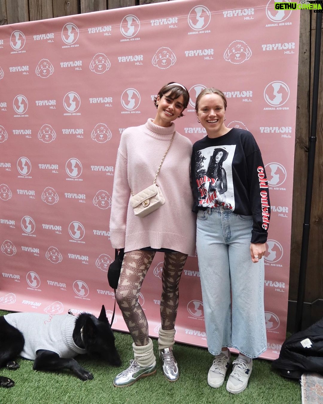 Taylor Hill Instagram - Happy Valentines Day 💌 If you’re still looking for love and interested in adoption, head to the link in my bio for information on the available dogs from our event! 🥰