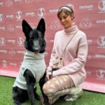 Taylor Hill Instagram - Happy Valentines Day 💌 If you’re still looking for love and interested in adoption, head to the link in my bio for information on the available dogs from our event! 🥰