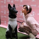 Taylor Hill Instagram - Happy Valentines Day 💌 If you’re still looking for love and interested in adoption, head to the link in my bio for information on the available dogs from our event! 🥰