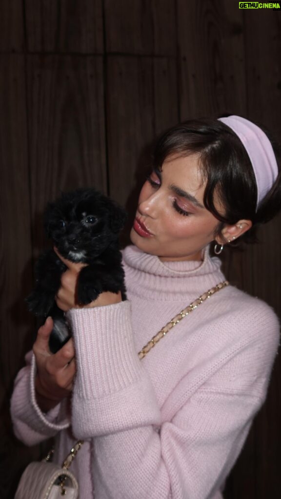 Taylor Hill Instagram - The most perfect day!! 💘 Salem and I had so much fun at our Valentines Day adoption event. Thank you to everyone who came with their pups and met our beloved rescues! Another big thank you to @animalaidusa and their rescue partners for all that they do and @foreigner.nyc for hosting us!