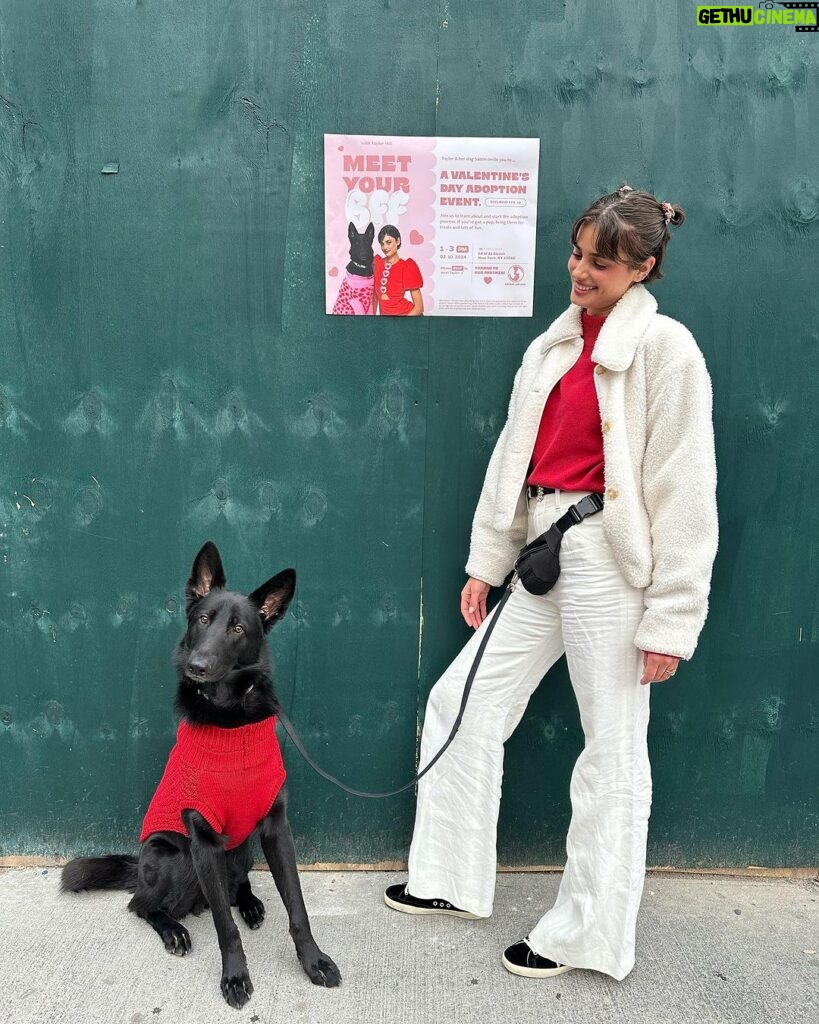 Taylor Hill Instagram - Salem and I are so excited for our Valentine’s Day adoption event on Saturday! 💘 Meet your BFF like I did or come with yours for all the fun. RSVP by clicking the link in my bio 🐾 P.S. if you see our posters around the city be sure to tag us in your story so we are able to repost! Seeing them makes our day 🥹💕 New York, New York