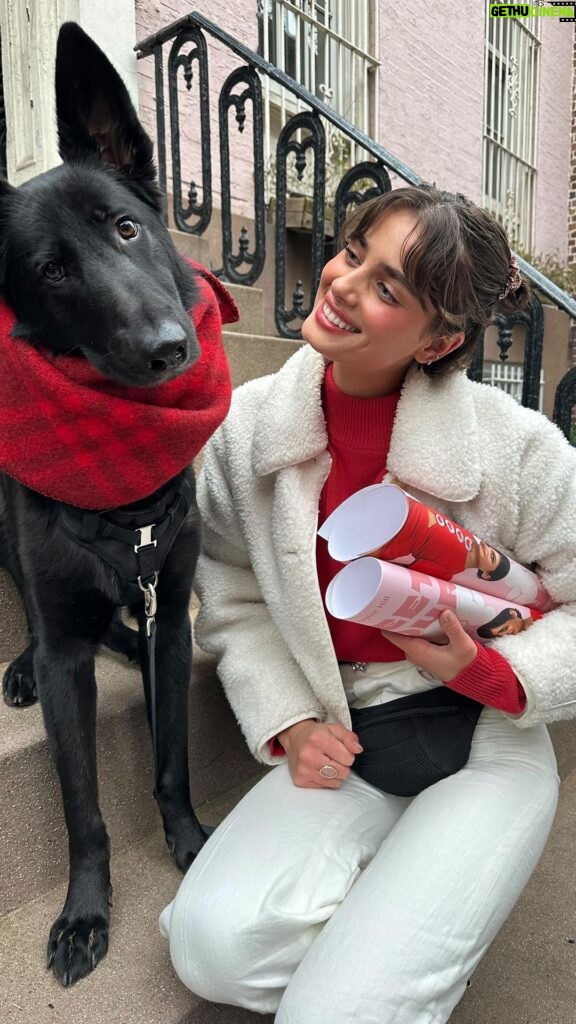 Taylor Hill Instagram - Salem and I are filling in for Cupid this Saturday at our Valentines Day adoption event! For more information & to RSVP, click the link in my bio 🥰💕🐾 New York, New York
