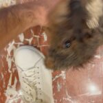 Taylor Zakhar Perez Instagram – Survived September…w/ a little help from my friends
