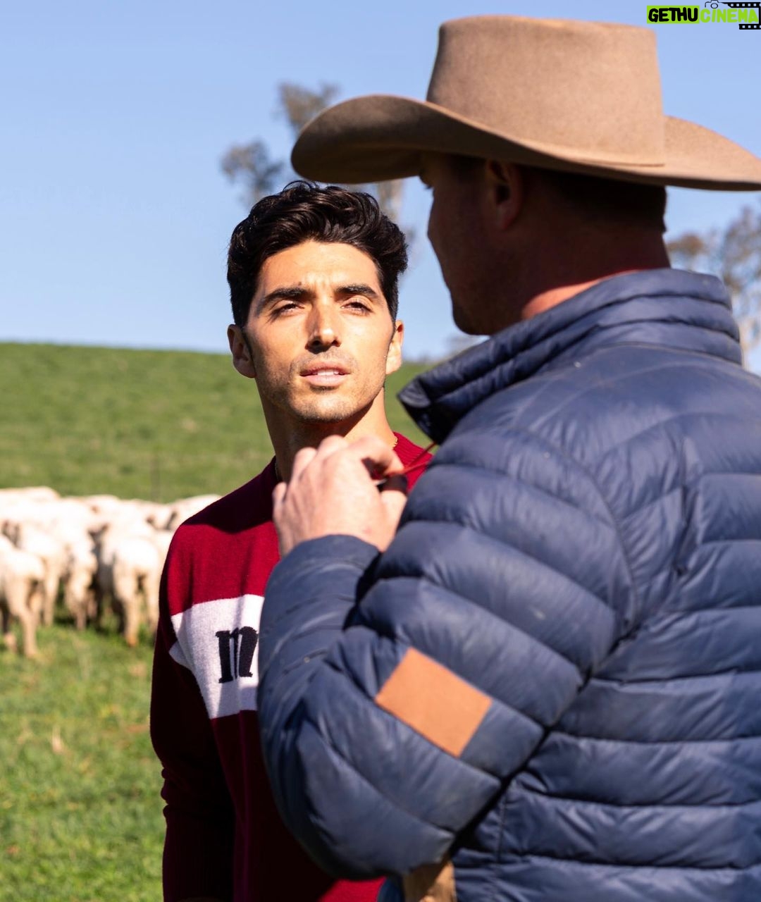 Taylor Zakhar Perez Instagram - Thank you @thewoolmarkcompany for giving me the full farm to fashion experience 🇦🇺 🇮🇹 and for teaching me about the wearability and versatility of wool. I know a bunch of you won’t read past ^that^ and check the pics out, and that’s ok. For those who decided to continue on, thank you 🤠So, I started doing supply chain trips with @ecoage last year because I wanted to know more about where our stuff comes from; what it’s made of, where it’s sourced from, and how many hands touch it before it lands in our stores. It was a lot to unpack 💼. Since then I’ve been to a regenerative cotton farm, a diamond mine, and got to follow wool from the farm to the factory and finally to tailor shop. Wild w/ lots of jet lag but totally worth it. As synthetic (mostly petroleum ⛽️ based) fibers are used more and more studies show they aren’t able to biodegrade like natural fibers (wool breaks down in water!! Isn’t that cool?), so with each wash of these polyester, acrylic, nylon, and spandex garments microplastics are released into the waterways. As the fibres are so small, many pass through filtration processes and make their way into our rivers and seas, and then we gobble them up ♻️. While activists push for legislation around this, the manufacturers are saying the washer/dryer companies should add a filter to solve the problem *ahem* 🚬 It won’t, it takes us to think again about what we are buying and show them we are in control, we demand better because we deserve better. And now, we KNOW better. I am not an expert, nor do I think I ever will be, but hopefully you find it interesting enough to stop and think again when we are buying something to put on our body. We do it with food, why not with our clothing?