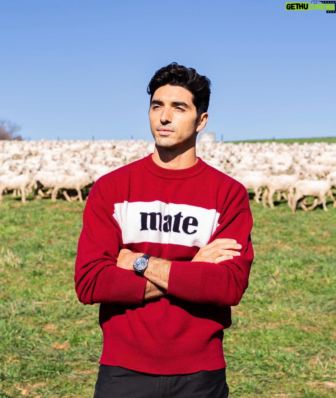 Taylor Zakhar Perez Instagram - Thank you @thewoolmarkcompany for giving me the full farm to fashion experience 🇦🇺 🇮🇹 and for teaching me about the wearability and versatility of wool. I know a bunch of you won’t read past ^that^ and check the pics out, and that’s ok. For those who decided to continue on, thank you 🤠So, I started doing supply chain trips with @ecoage last year because I wanted to know more about where our stuff comes from; what it’s made of, where it’s sourced from, and how many hands touch it before it lands in our stores. It was a lot to unpack 💼. Since then I’ve been to a regenerative cotton farm, a diamond mine, and got to follow wool from the farm to the factory and finally to tailor shop. Wild w/ lots of jet lag but totally worth it. As synthetic (mostly petroleum ⛽️ based) fibers are used more and more studies show they aren’t able to biodegrade like natural fibers (wool breaks down in water!! Isn’t that cool?), so with each wash of these polyester, acrylic, nylon, and spandex garments microplastics are released into the waterways. As the fibres are so small, many pass through filtration processes and make their way into our rivers and seas, and then we gobble them up ♻️. While activists push for legislation around this, the manufacturers are saying the washer/dryer companies should add a filter to solve the problem *ahem* 🚬 It won’t, it takes us to think again about what we are buying and show them we are in control, we demand better because we deserve better. And now, we KNOW better. I am not an expert, nor do I think I ever will be, but hopefully you find it interesting enough to stop and think again when we are buying something to put on our body. We do it with food, why not with our clothing?