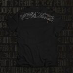 Tecia Torres Instagram - Excited to share Raquel’s champ camp fight shirts, hoodies, and hats! They are up on her website teamrocky.net We decided to go with one shirt design, two different hoodie designs, and two different hat designs. They will be for pre/sale ONLY until Monday. I need to order them asap! I will order some extras but items will be limited so grab them fast! I hope to get them to you by her title fight Jan 20th! I’d like to thank Luke for his amazing designs and overnight service! I highly recommend him. @luke_dehaas Team Rocky! Let’s go. Link in bio as well.