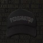 Tecia Torres Instagram - Excited to share Raquel’s champ camp fight shirts, hoodies, and hats! They are up on her website teamrocky.net We decided to go with one shirt design, two different hoodie designs, and two different hat designs. They will be for pre/sale ONLY until Monday. I need to order them asap! I will order some extras but items will be limited so grab them fast! I hope to get them to you by her title fight Jan 20th! I’d like to thank Luke for his amazing designs and overnight service! I highly recommend him. @luke_dehaas Team Rocky! Let’s go. Link in bio as well.