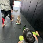Tecia Torres Instagram - My Girls 💚 #RockNado #TeamRocky #TeamTiny #Training #Grappling #RoadBackToTheOctagon #ChampCamp #UFCToronto