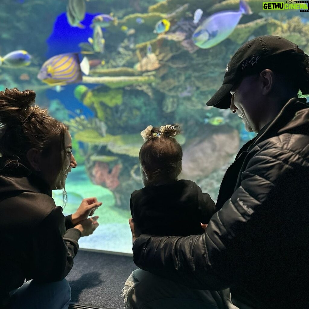 Tecia Torres Instagram - Family Time 💙 Alayah’s first aquarium visit 🐠 #Toronto #UFC297 #RockNado #TeamRocky Ripley's Aquarium in Canada